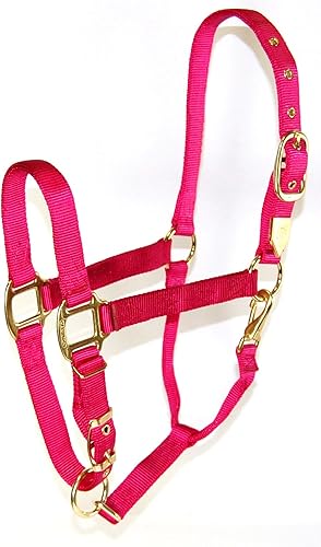 Miniatura 20 de Hamilton, Halter de 1 pulgada con barbilla ajustable, azul baya, 800-1100 libras Azul baya,Vino,Azul,Rosa encendido,Anaranjado mango,Azul