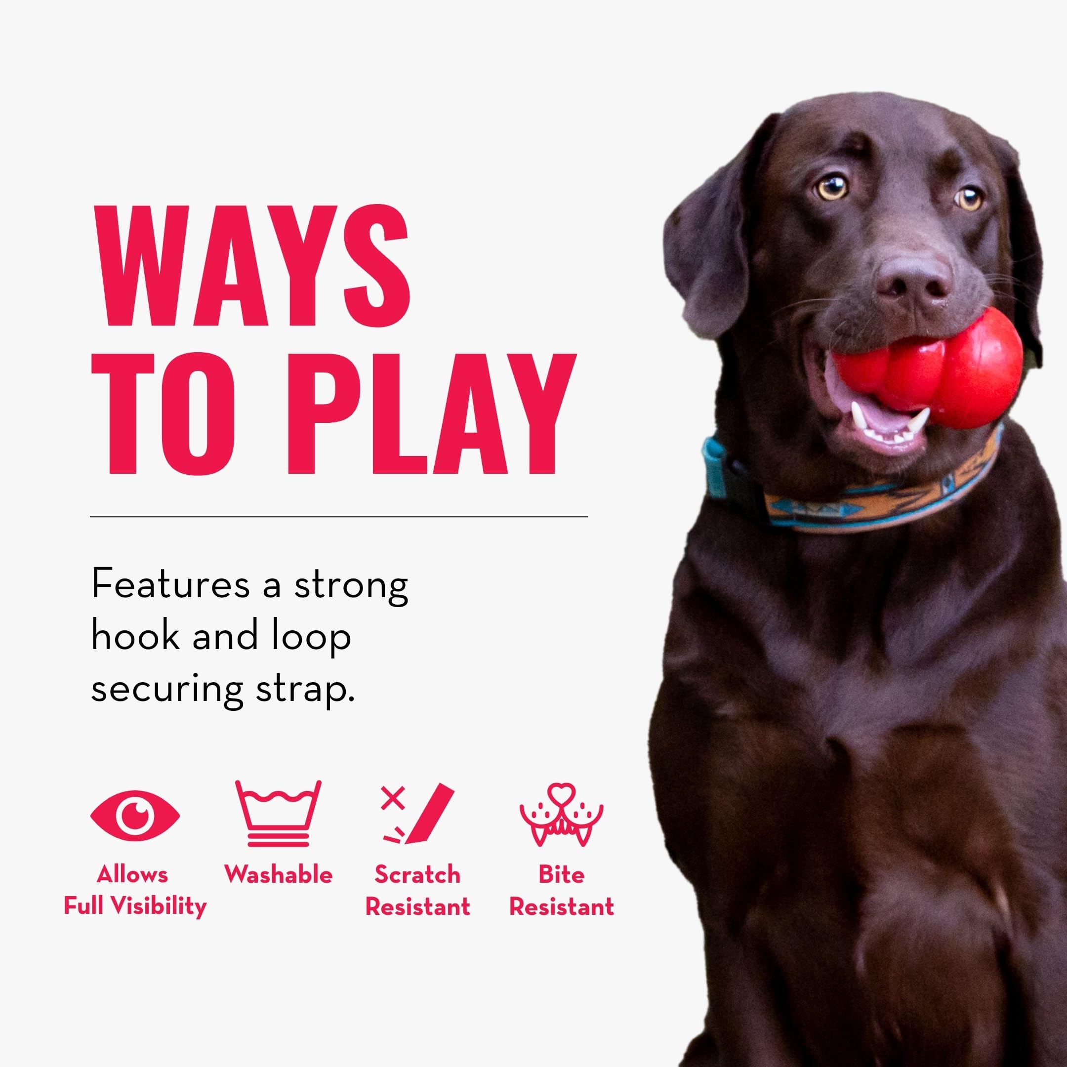 KONG Cloud E-Collar for Dogs, Soft Inflatable Recovery Dog Collar, Adjustable, Scratch & Bite Resistant, Promotes Healing, Prevents Wound Licking, Scratching Post-Surgery, Neck Size: 51-64cm, X-Large 2