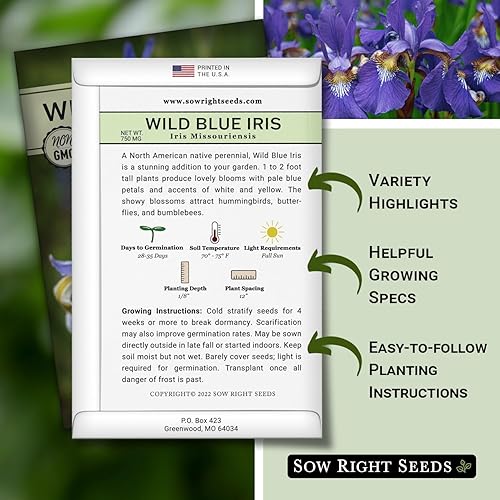 Miniatura 2 de Sow Right Seeds - Semillas de flores de iris azul silvestre para plantar - Favoritos de la floristería - Hermosas flores para plantar en tu jardín -