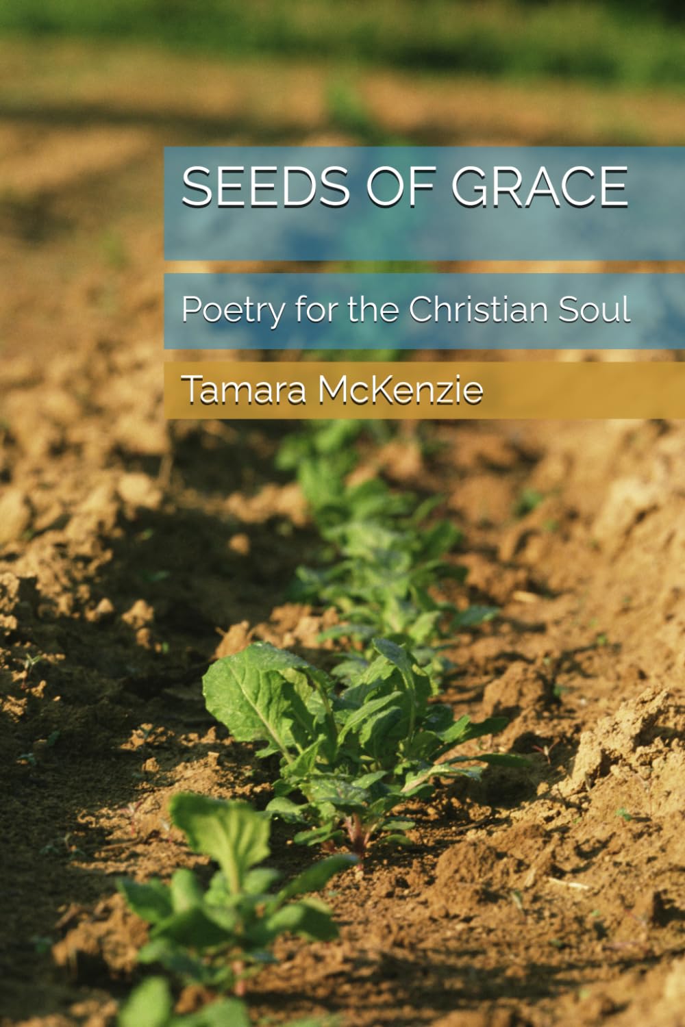 SEEDS OF GRACE: Poetry for the Christian Soul
