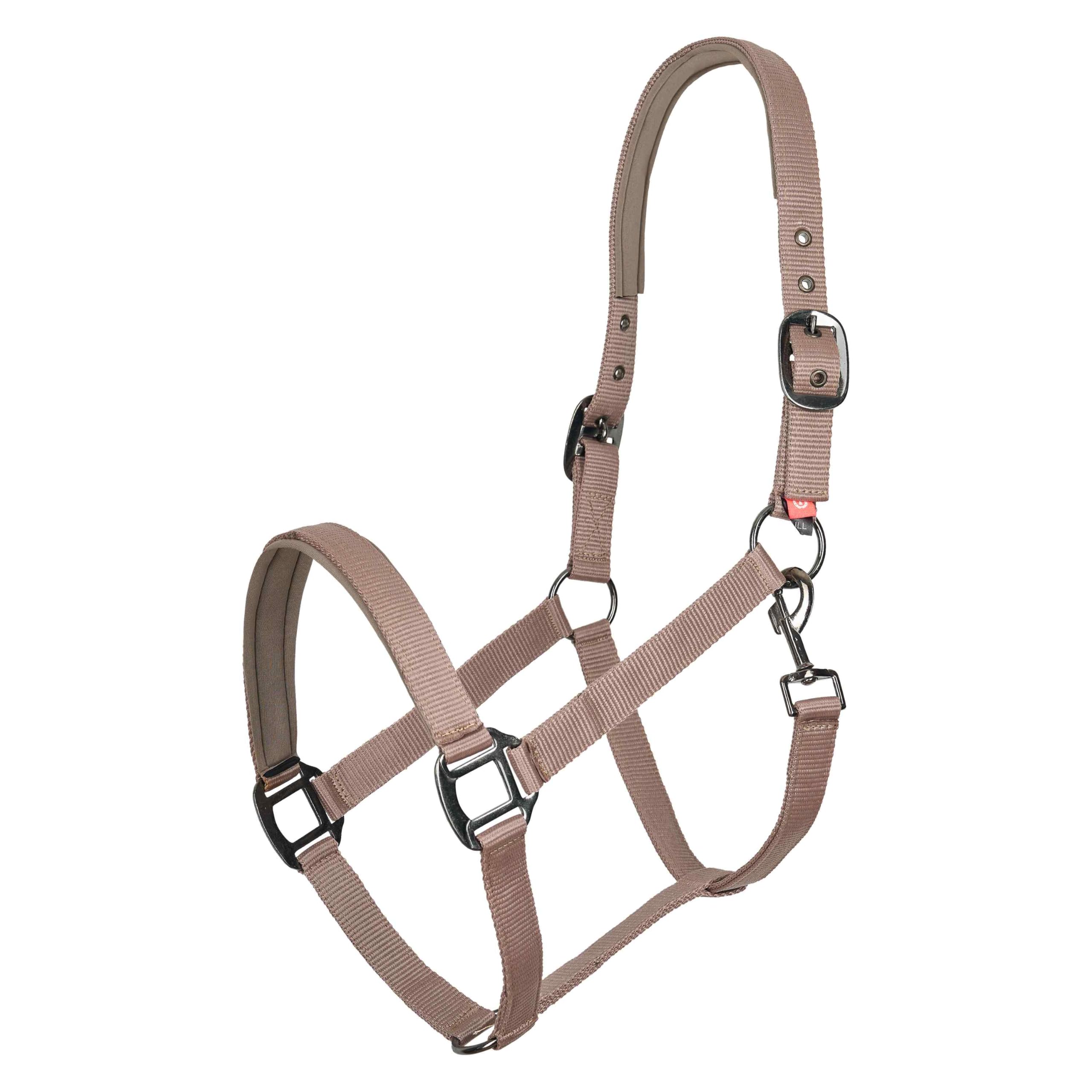 Imperial Riding Classic Sport Headcollar Made of Durable Nylon, Soft Padded with Neoprene, Adjustable, with Carabiner & Luxury Rose Gold/Gold Fittings, Comfortable Horse Headcollar, Cappuccino, Cob