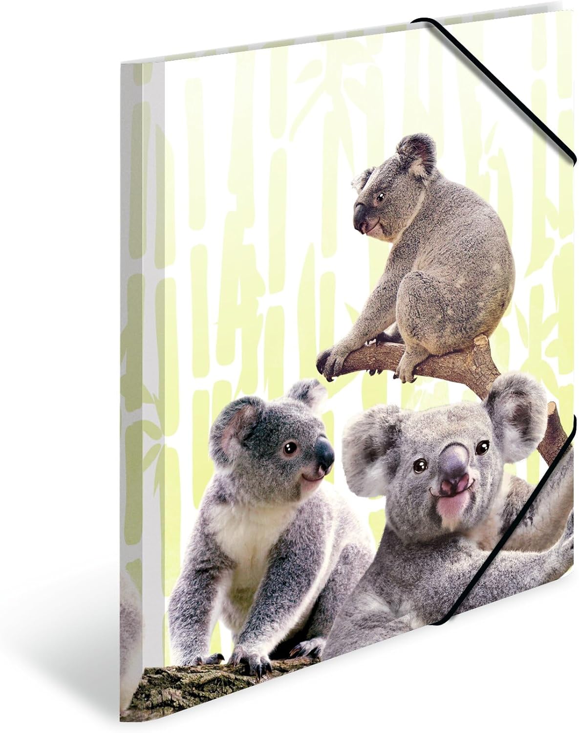 HERMA 19956 Sammelmappe DIN A4 Exotische Tiere 10er Set, stabiler Kunststoff, Ordnungsmappe mit vollständigen Innendruck und Gummizug, Zeichenmappe für Kinder, Mädchen und Jungen