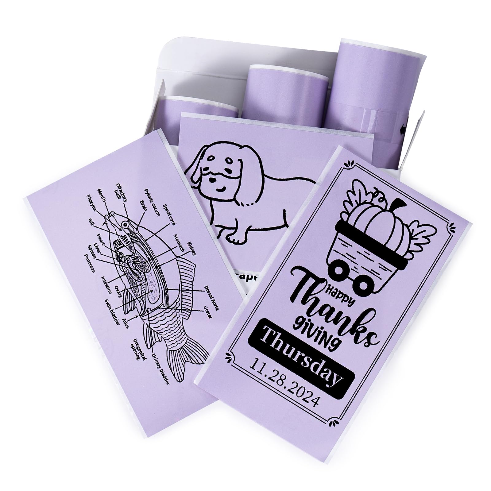 Memoking T02 / M02X / M02L Sticker Paper - Purple Sticky T02 Mini Printer Sticker Paper Refill, 50 mm x 3.5 m, Keep for 20 yrs, for Journal Photo Study Notes, 3 Rolls