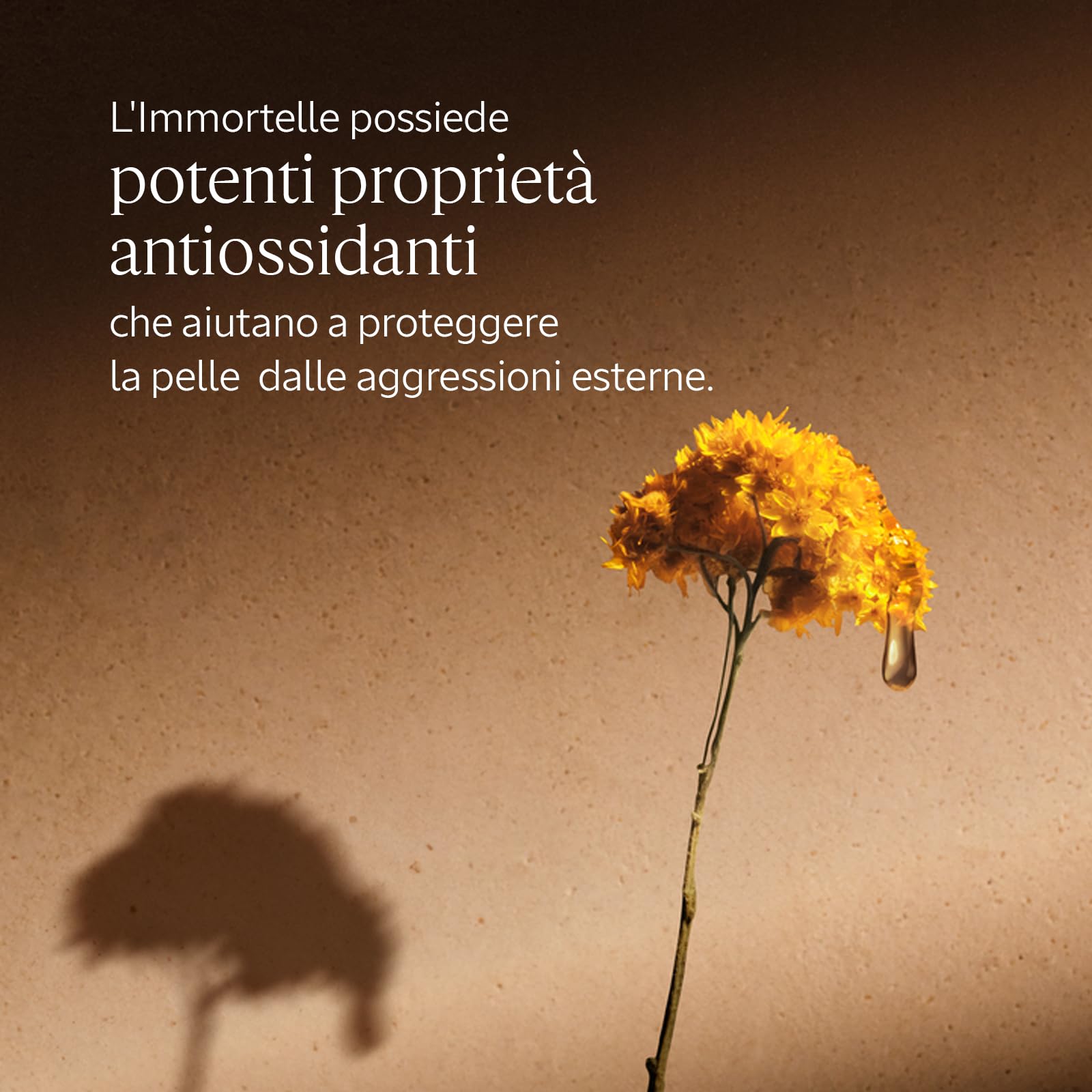 L'OCCITANE - Crema Viso Giovinezza Immortelle Divine - 50 ml