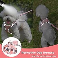 Vista 5 de Lindo arnés a cuadros para perros pequeños, de malla suave, arnés y correa para perros pequeños, arnés y correa para perros pequeños, chaleco
