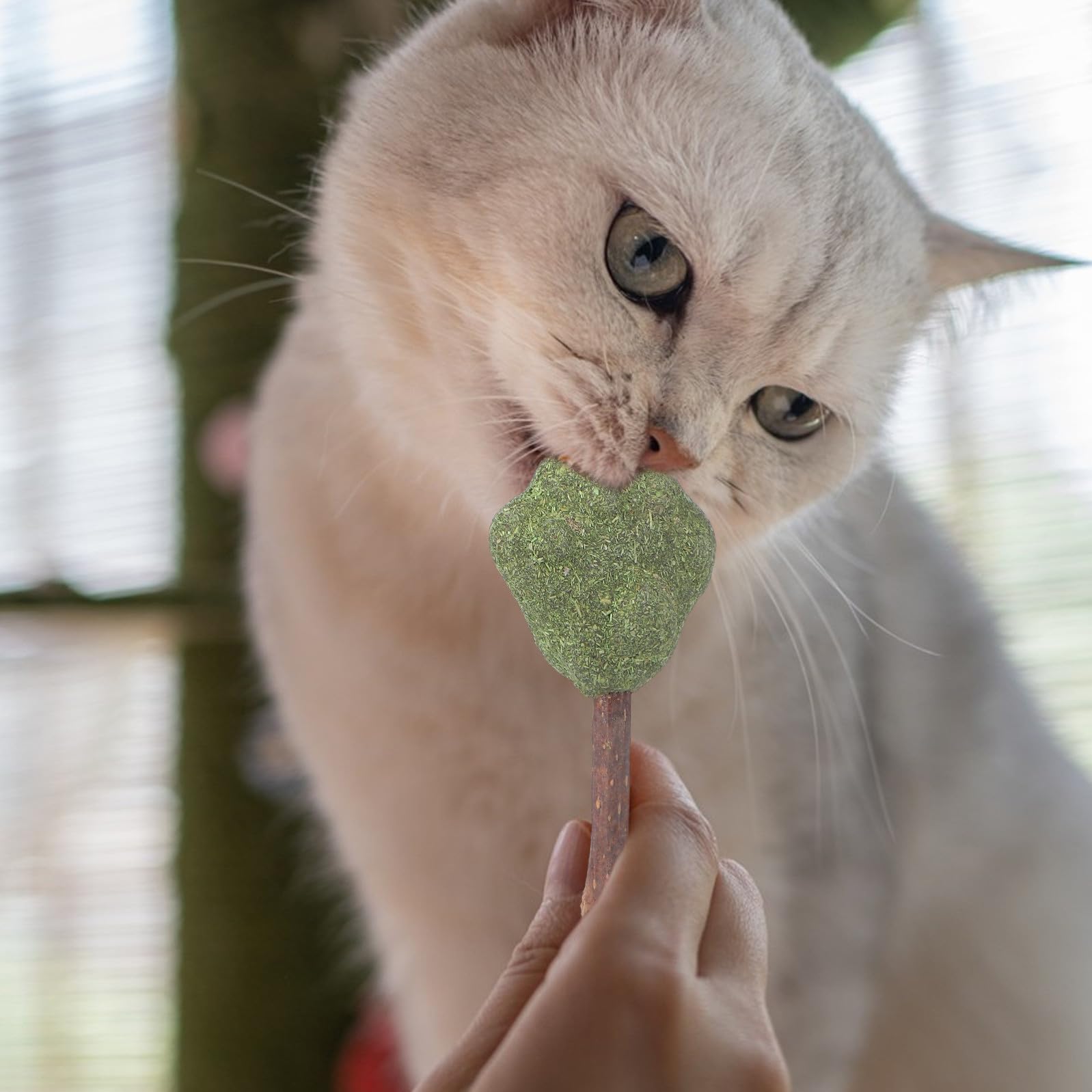 Amazon | VILLFUL 猫用キャットニップロリポップ 食用キャットニップ