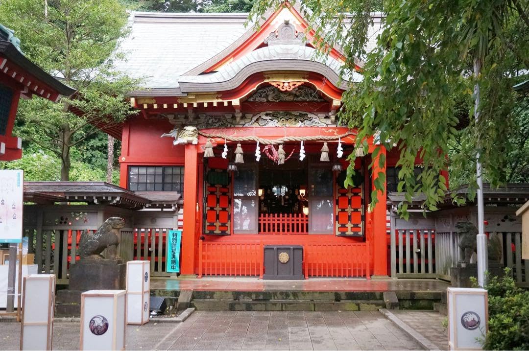 Amazon.co.jp: 2024年辰歳 江島神社 龍神信仰 水晶幸福守り ストラップ