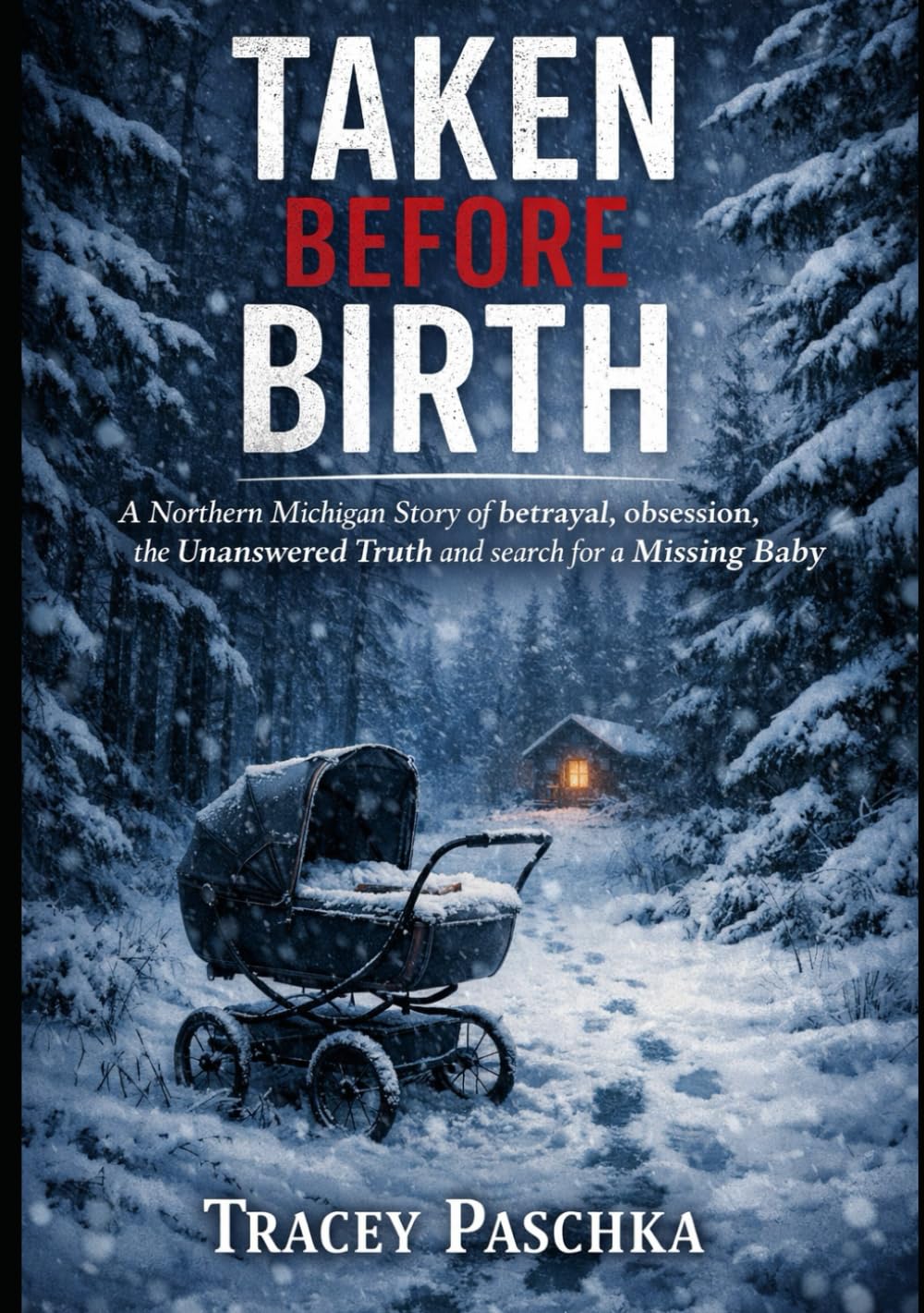 Taken Before Birth: A Northern Michigan Story of betrayal, obsession, the Unanswered Truth and search for a Missing Baby