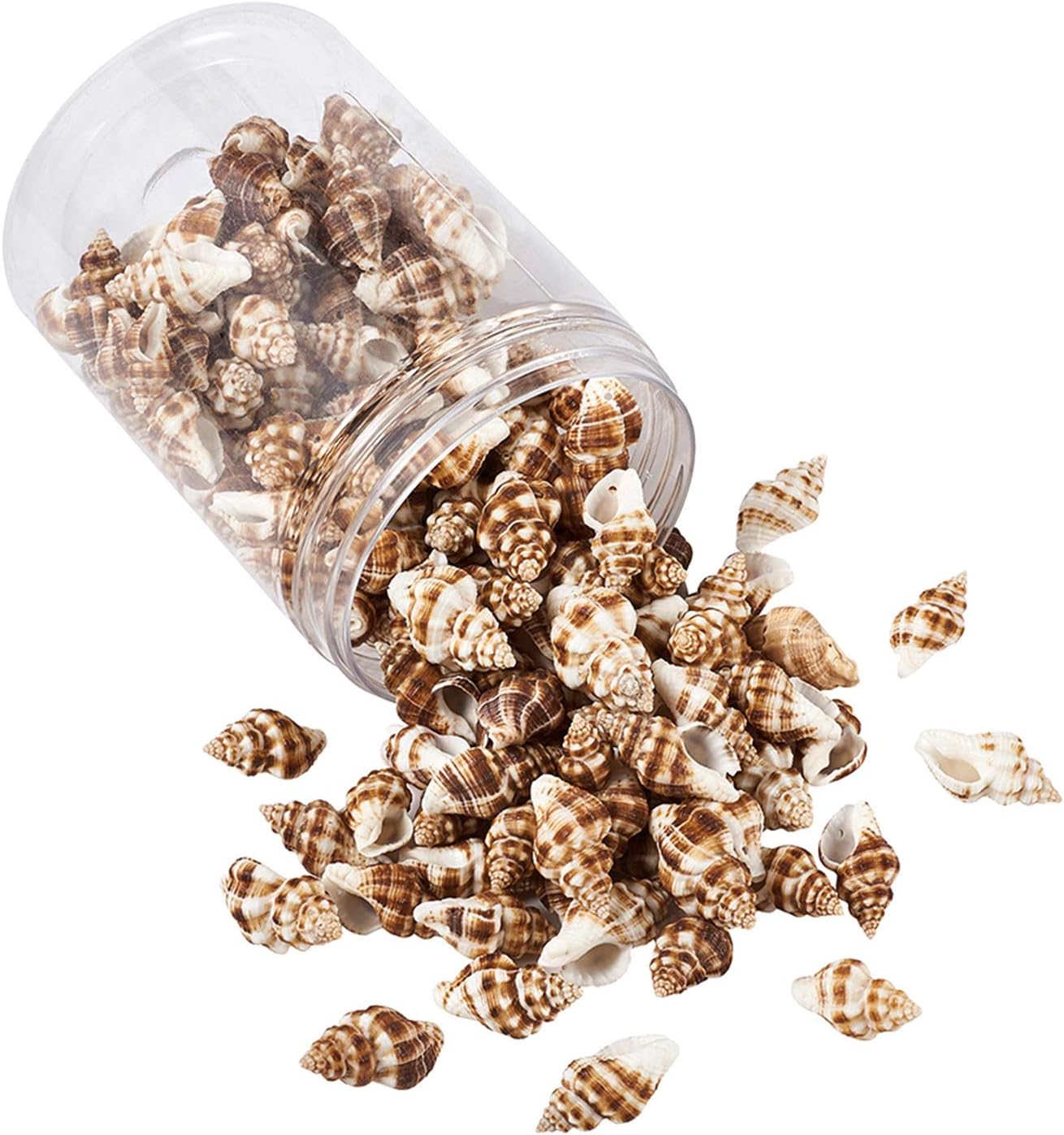 KISSITTY 161pcs/box Tiny Natural Spiral Shell Beads Ocean Sea Shells with Hole for DIY Craft Jewelry Making Accessories