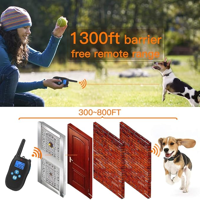 nemobub training collar