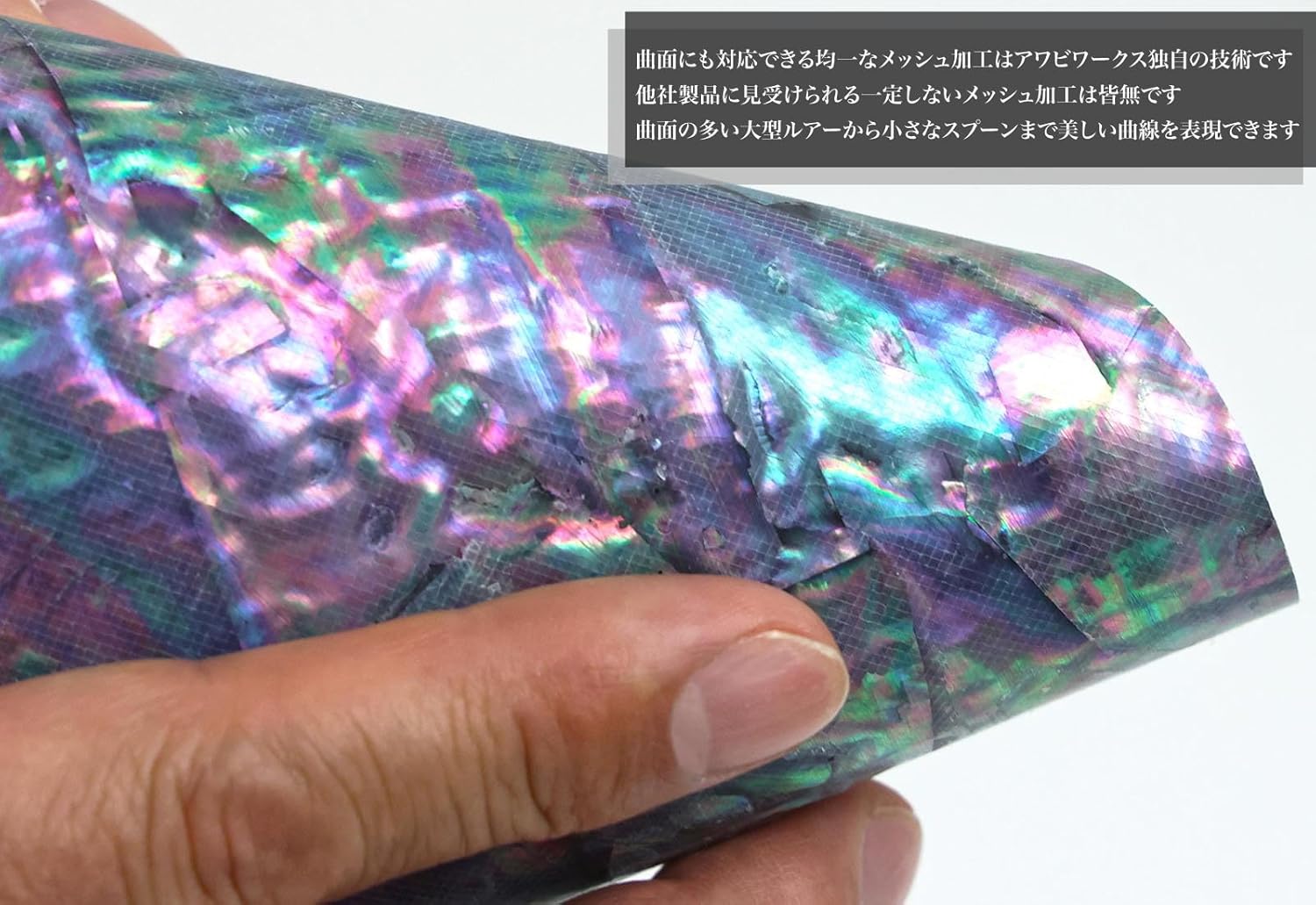 ホッツ 日本アワビB XL