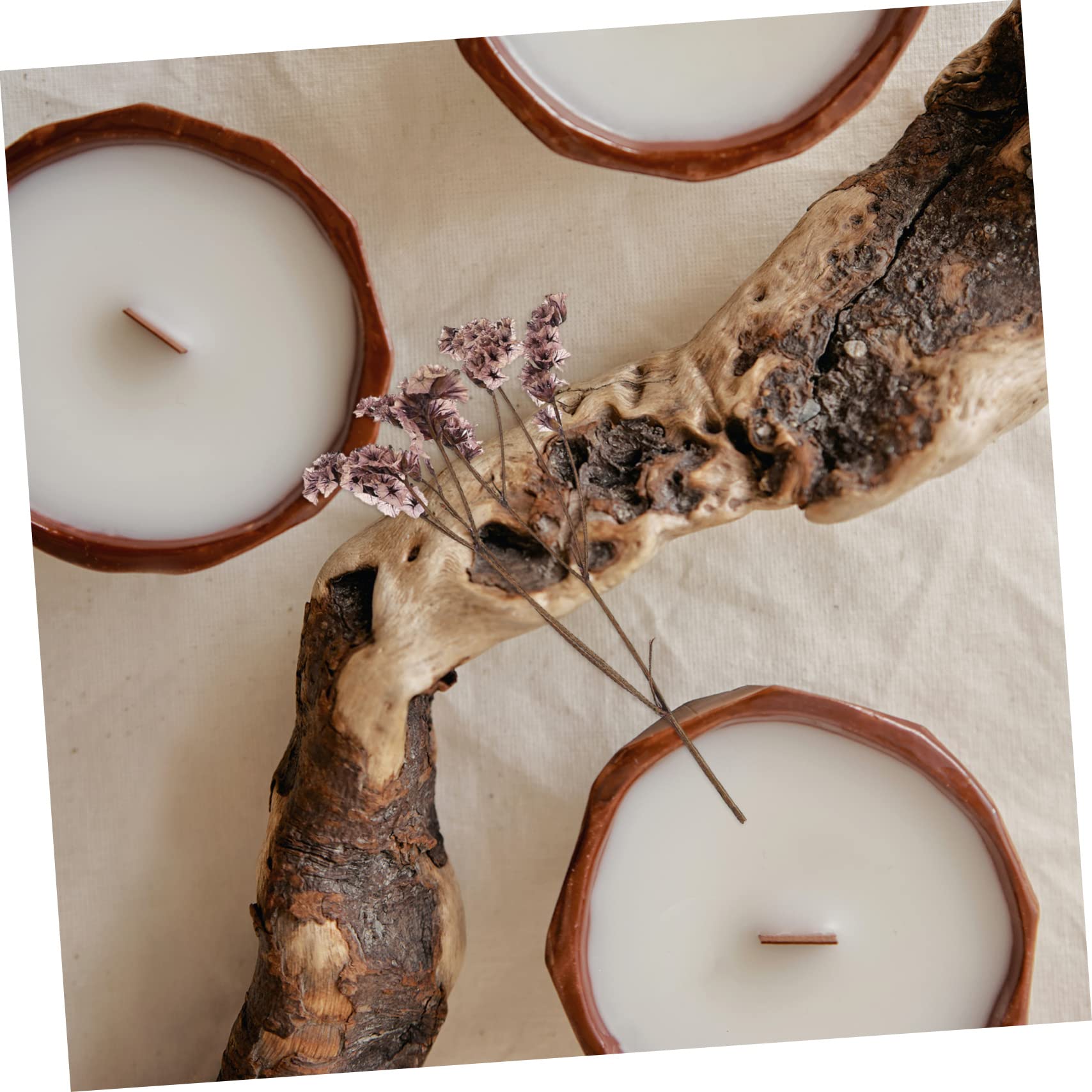 Abaodam 5ensembles Fleurs Séchées Naturelles pour Matériaux Artisanaux Décoration Unique pour Scrapbooking Manucure Et Créations Personnelles pour La Créativité