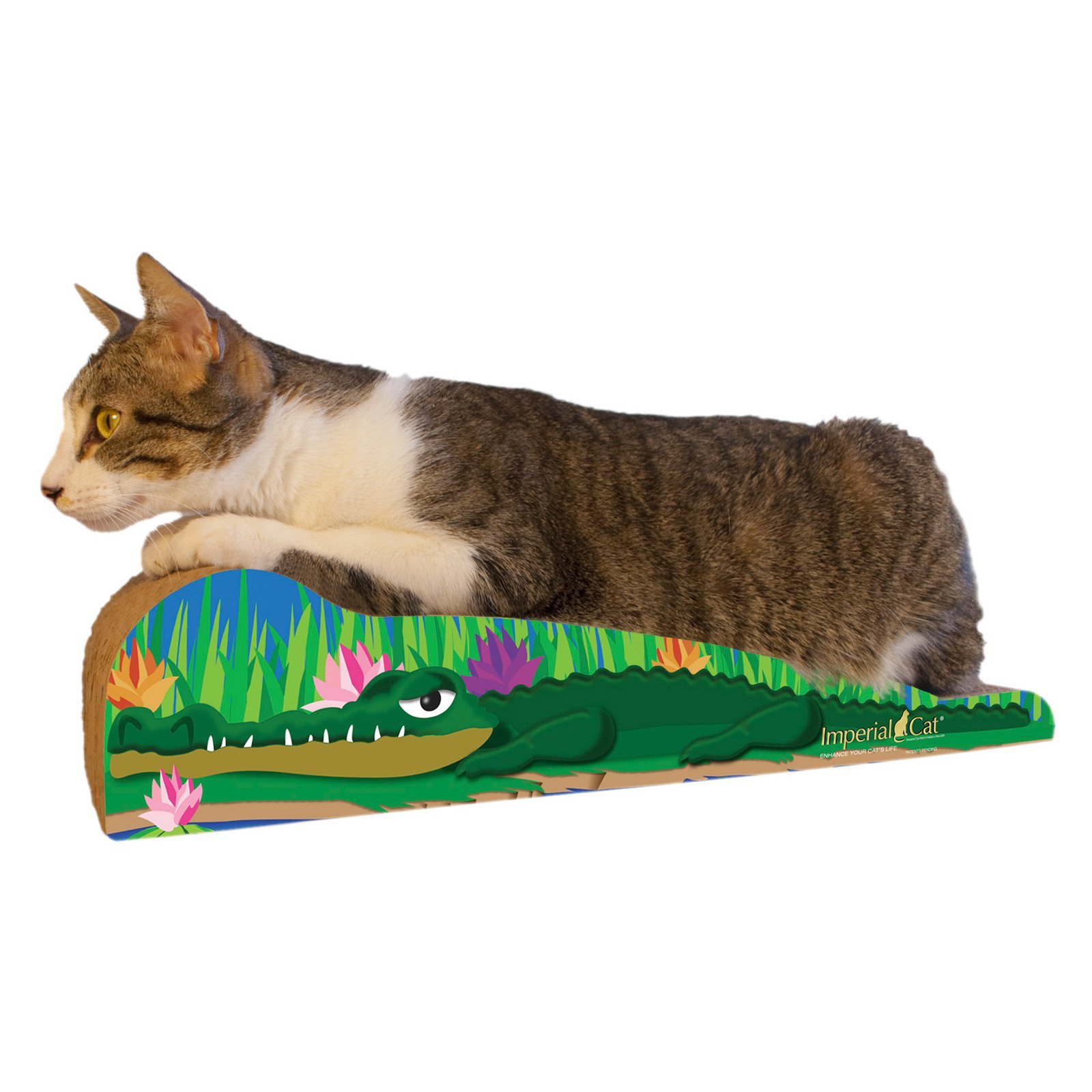 Imperial Cat Scratch 'n Shape, Small Crocodile
