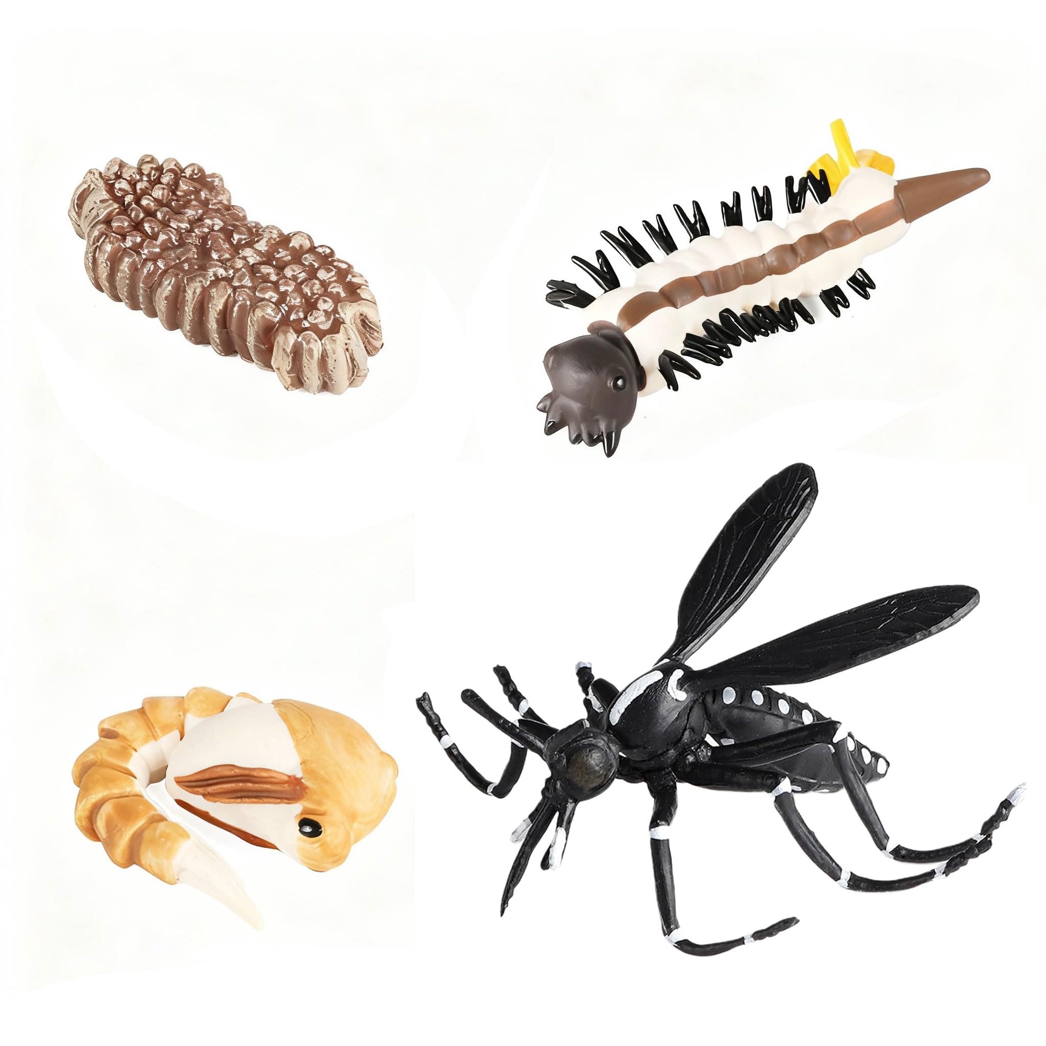 AENIMELY Mosquito Life Cycle Figurines Set with Eggs, Larva, Pupa and Adult Stages, Realistic Insect Animal Models for Kids Educational Learning Toy, Classroom Teaching, Homeschool Science Project