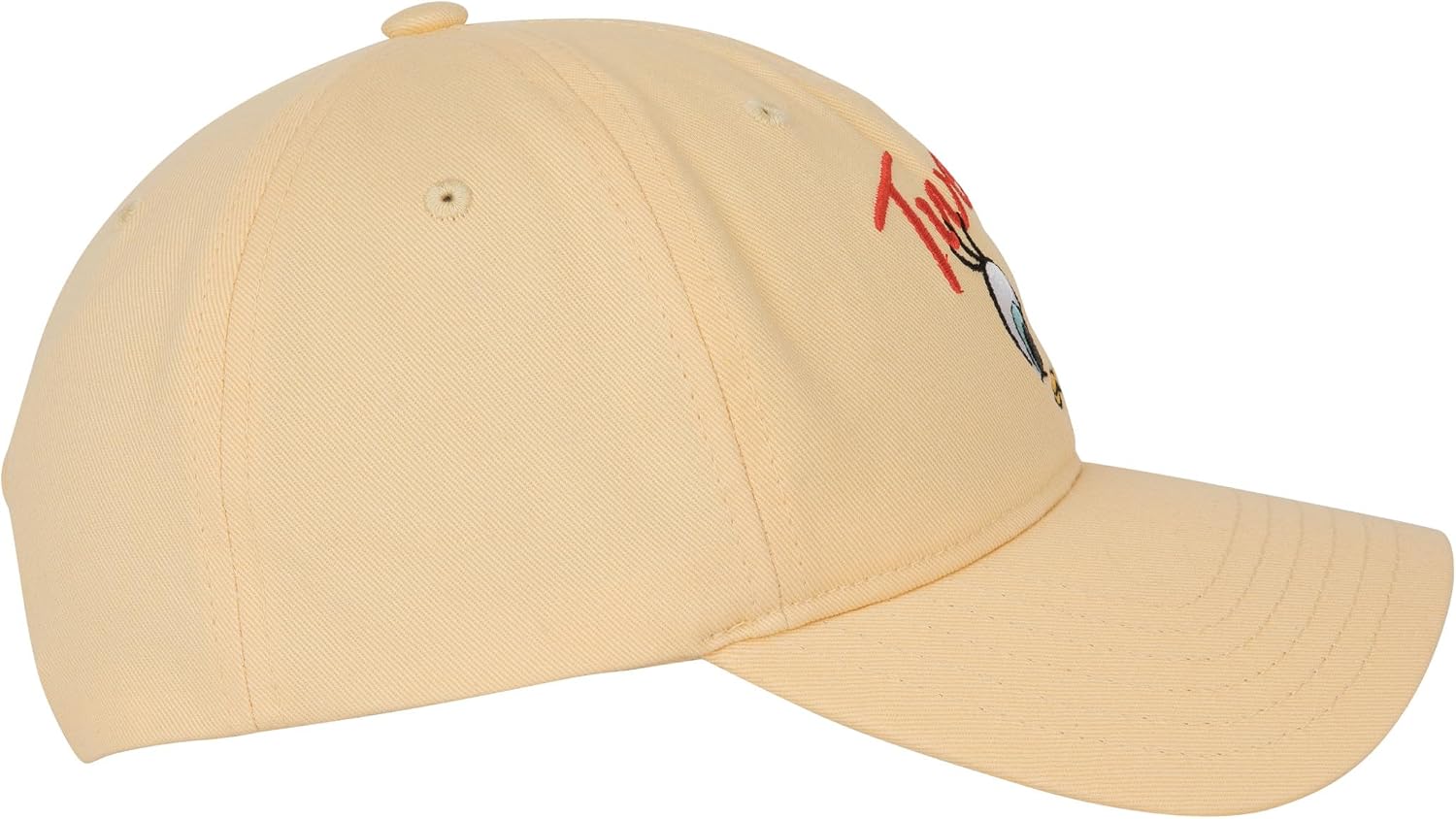 Looney Tunes Tweety Bird Face Adjustable Snapback Dad Cap