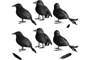 6-Pack Halloween Shadow Figures: Realistic Real Feathered Black Crows