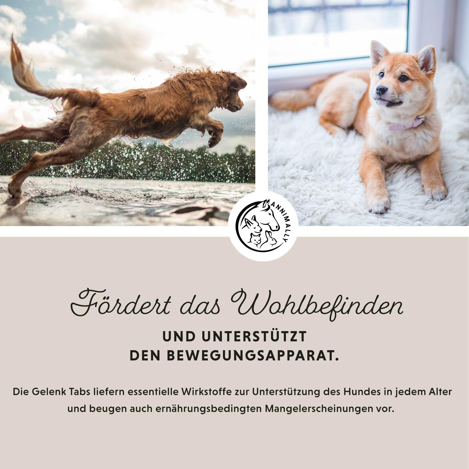 Gelenktabletten für Hunde mit MSM, Grünlippmuschel, Teufelskralle, Glucosamin & Hyaluron - 120 Gelenke Tabletten für Hunde - Hohe Akzeptanz beim Hund durch kleine Tabletten
