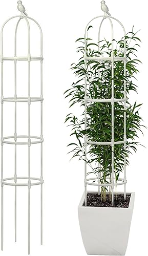 Enrejado de jardín para plantas trepadoras, tubo de metal inoxidable con soporte resistente de 6 pies, soporte para plantas en maceta para jardín y