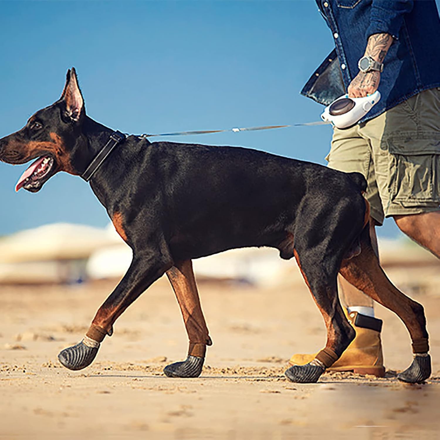 Dog Booties for Small, Medium and Large Dogs Outdoor Dog Boots Winter Dog Shoes for Snow Rain Puppy Shoes 4-pcs Set