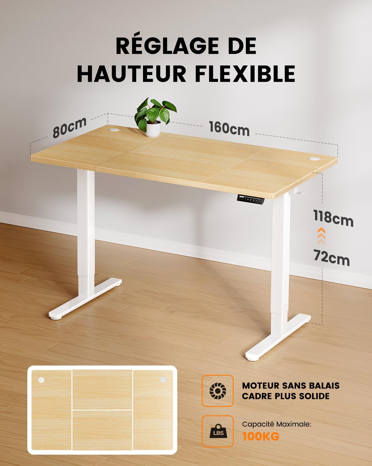ErGear Bureau Assis Debout avec Moteur Brushless avancé-160 x 80 cm-100 kg de capacité de Charge Bureau Assis Debout Electrique, Fonction silencieuse, Cadre métallique Robuste