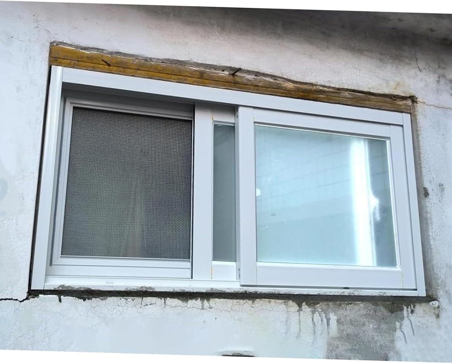 ⭐️GRAEF⭐️TendenzaT10⭐️ドイツ製#スライサー#キッチン家電#業務