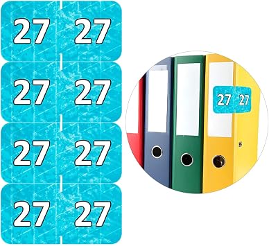 500 Pieces 2027 Year Stickers 0.751.5 inch Rectangle Coded Colored File Folders Labels Self Adhesive Year Labels for Tab File Folders Office SuppliesBlue,White