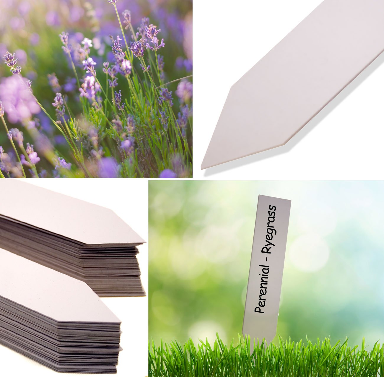Redamancy 100 Pezzi Targhette Portachiavi, Targhette Portachiavi Plastica Scrivibile, Etichetta