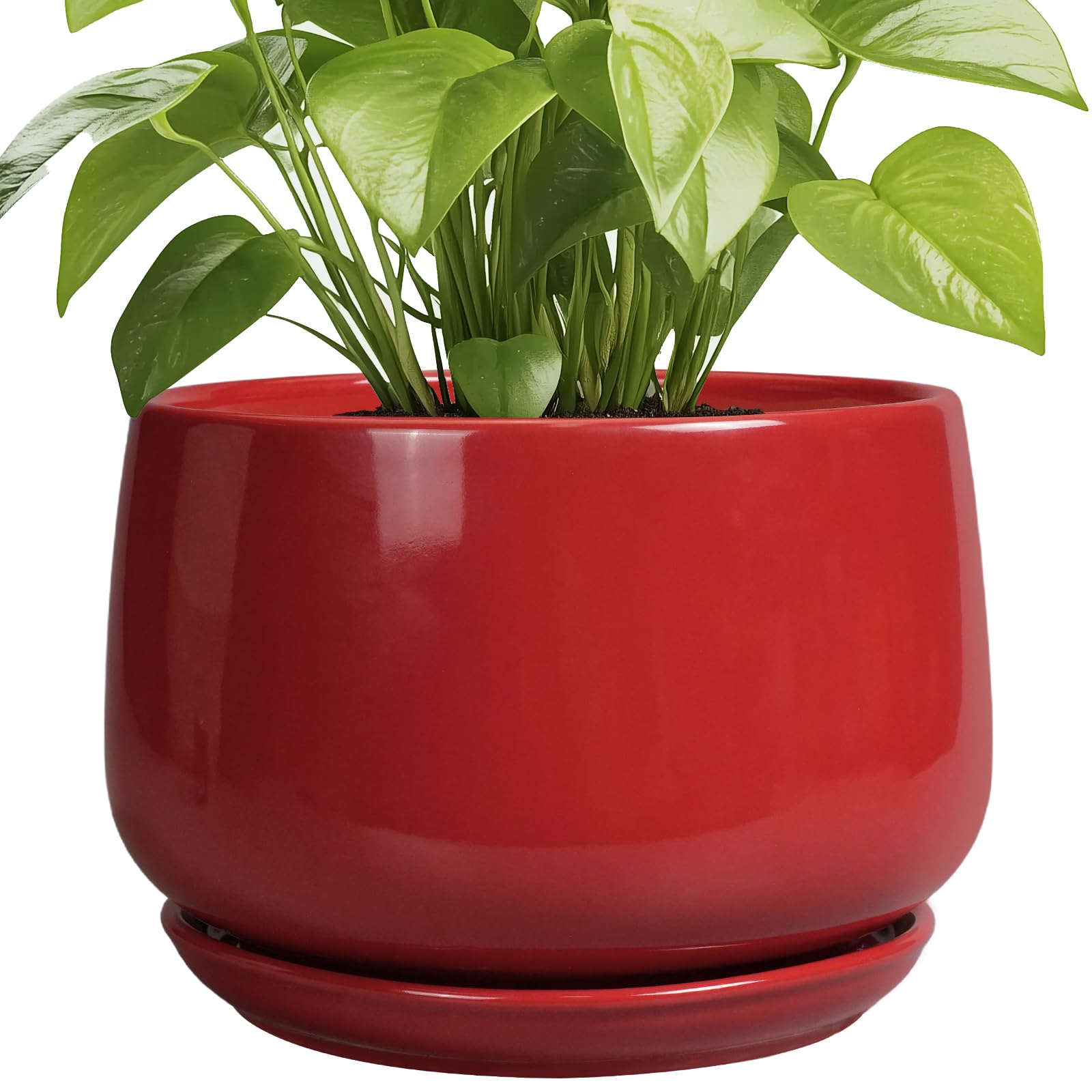 G EPGardening Ceramic Plant Pots - 9 Inch