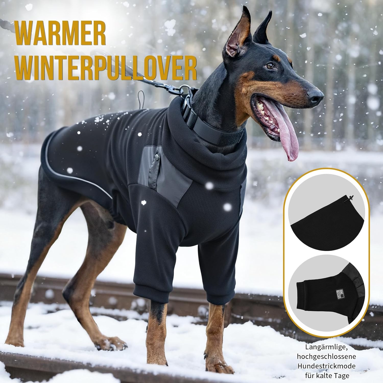 Kutyapulóver viselés közben