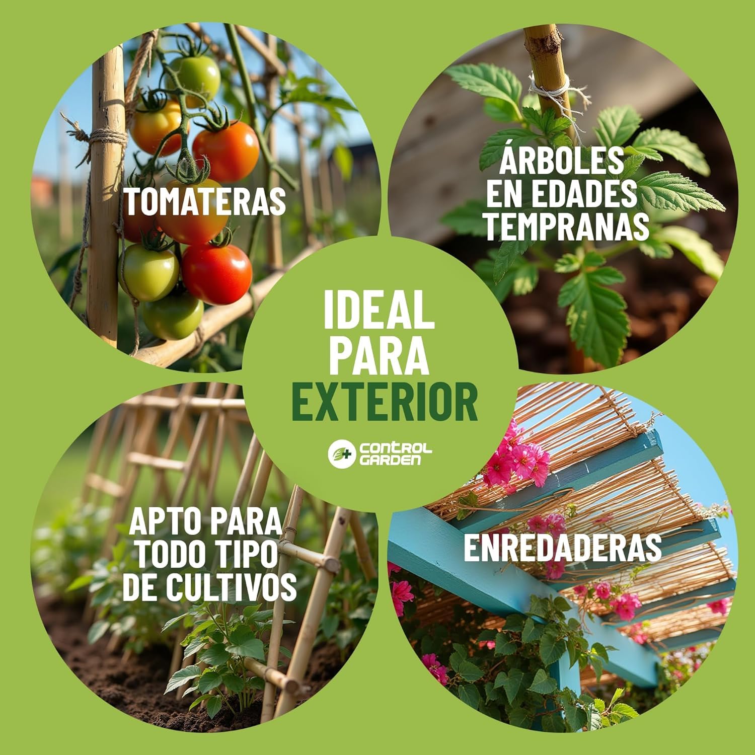 CONTROL GARDEN 90 Tutores de Bambu para Plantas 180 cm Grosor 14-16 cm | Cañas Estacas Natural para Tomateras, Enredaderas y Sujetar Cultivos | Varas Resistentes Huerto y Jardin