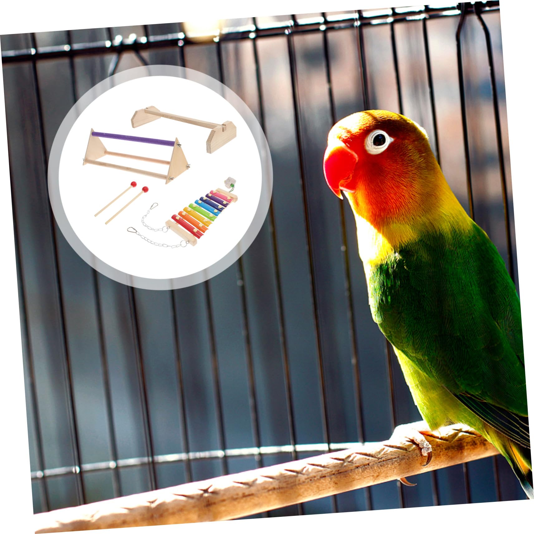 Juego de Accesorios para Aves Soporte de Madera para Pájaros, Barra de Madera para Descansar y Escalera para Gallinero, Adecuado para Relajación y Juego