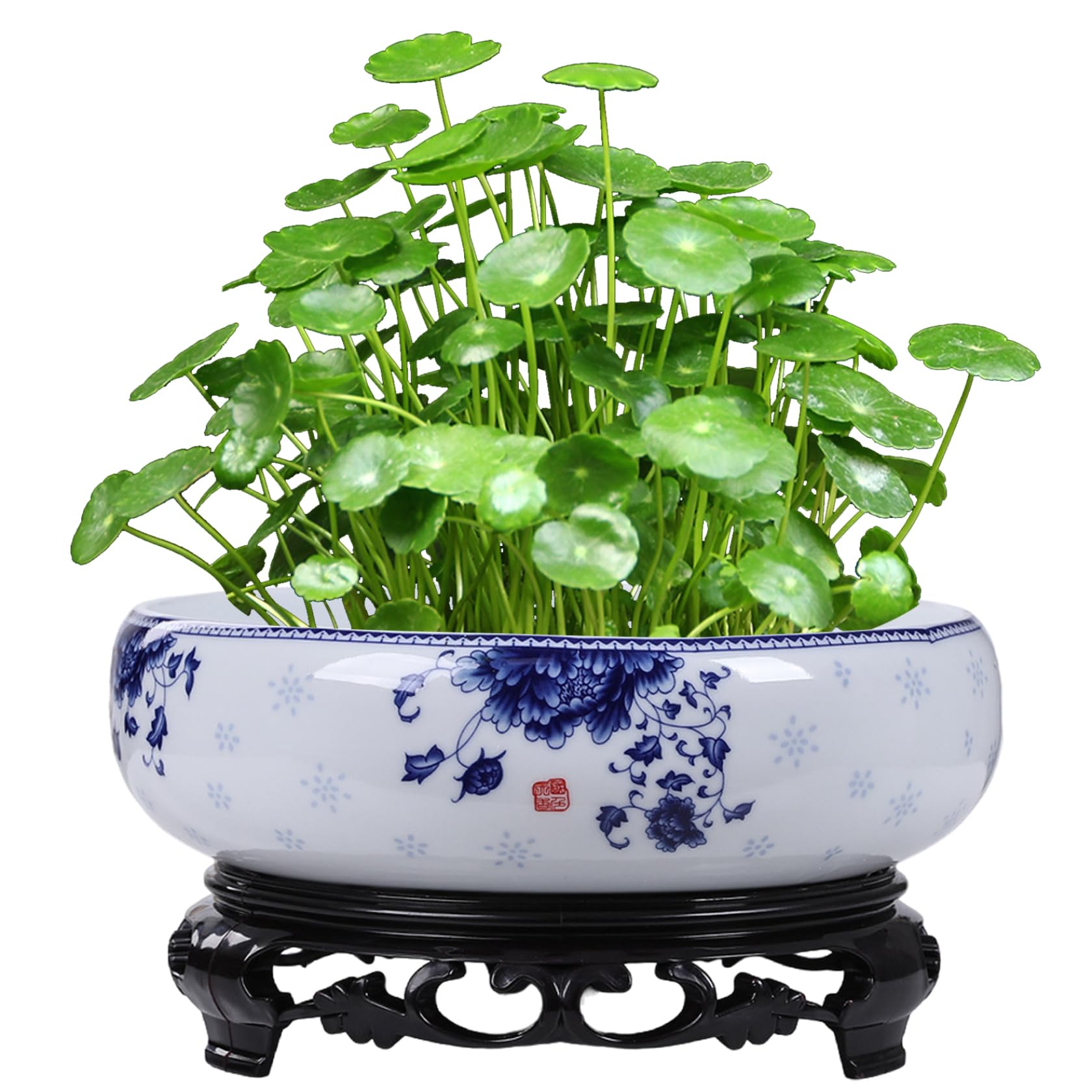 Jardinière hydroponique Lotus Bowl en céramique pour nénuphar de salon