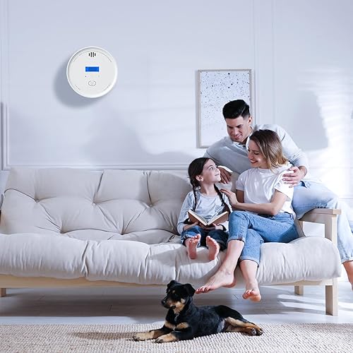 Miniatura 7 de Detector de humo interconectado y detector de monóxido de carbono con indicadores LED, alarma de CO y humo 2 en 1, detectores de humo y monóxido de