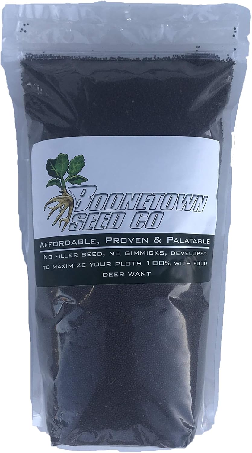 Dwarf Essex Forage Rape Food Plot Seed, Deer Greens, Brassica Seed