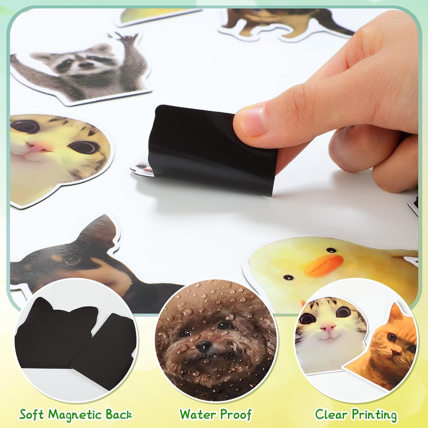 Ceenna 25 Pcs Funny Magnets Cute Fridge Magnets Fun Reusable Magnetic Decor for Locker Fridge Car Bumper Adult Accessories Funny Novelty Gift(Fun Animals)