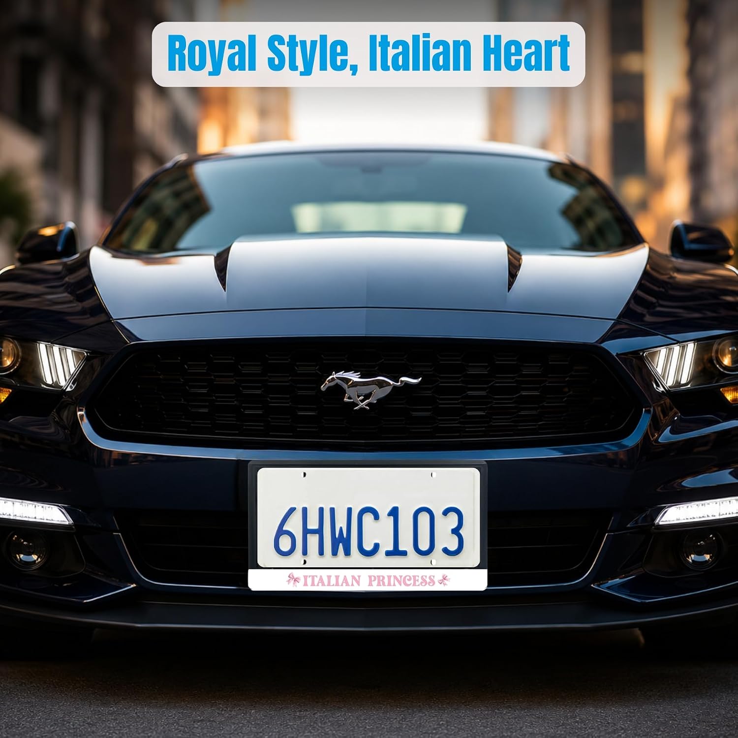 Engraved License Plate Frame Italian Princes | Pack of 1 Back License Plate with 8 Screw Mount | Universal License Plate Holder Bracket | Rust-Proof & Weather-Proof License Plate