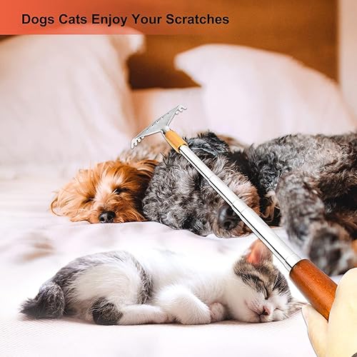 Miniatura 7 de Rascador de espalda, rascador de espalda de metal, mango telescópico de madera con bola de rodillo de acero, garra ancha, herramienta de masajeador