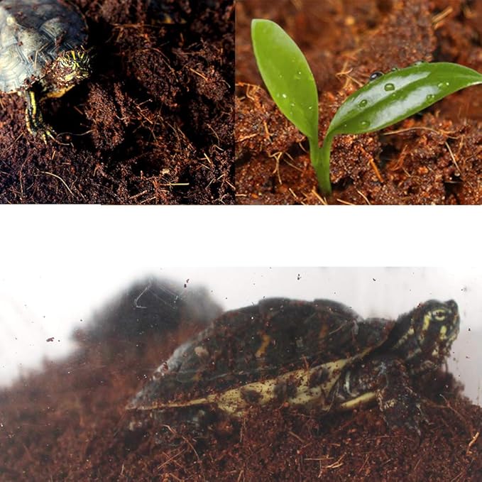 Amazon Petbacoo 爬虫類カメクッション カメ冬眠基質地球ペットベッドエルミット土壌ココナッツファイバーレンガ林床寝具 8リットル Petbacoo 底砂 床材 通販