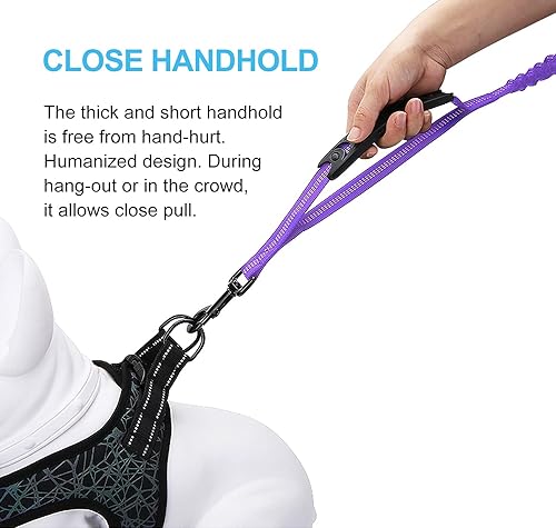 Miniatura 4 de Correa elástica altamente reflectante de 6 pies para perros medianos y grandes, absorbe los golpes con cómodo mango acolchado y asa de tráfico