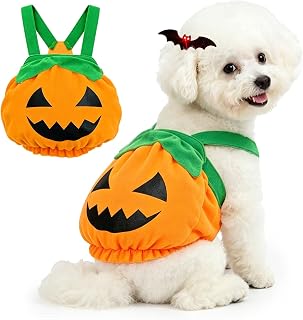 Dog Pumpkin Halloween Costume, Cute Party Shirt for Small Puppy & Kitten