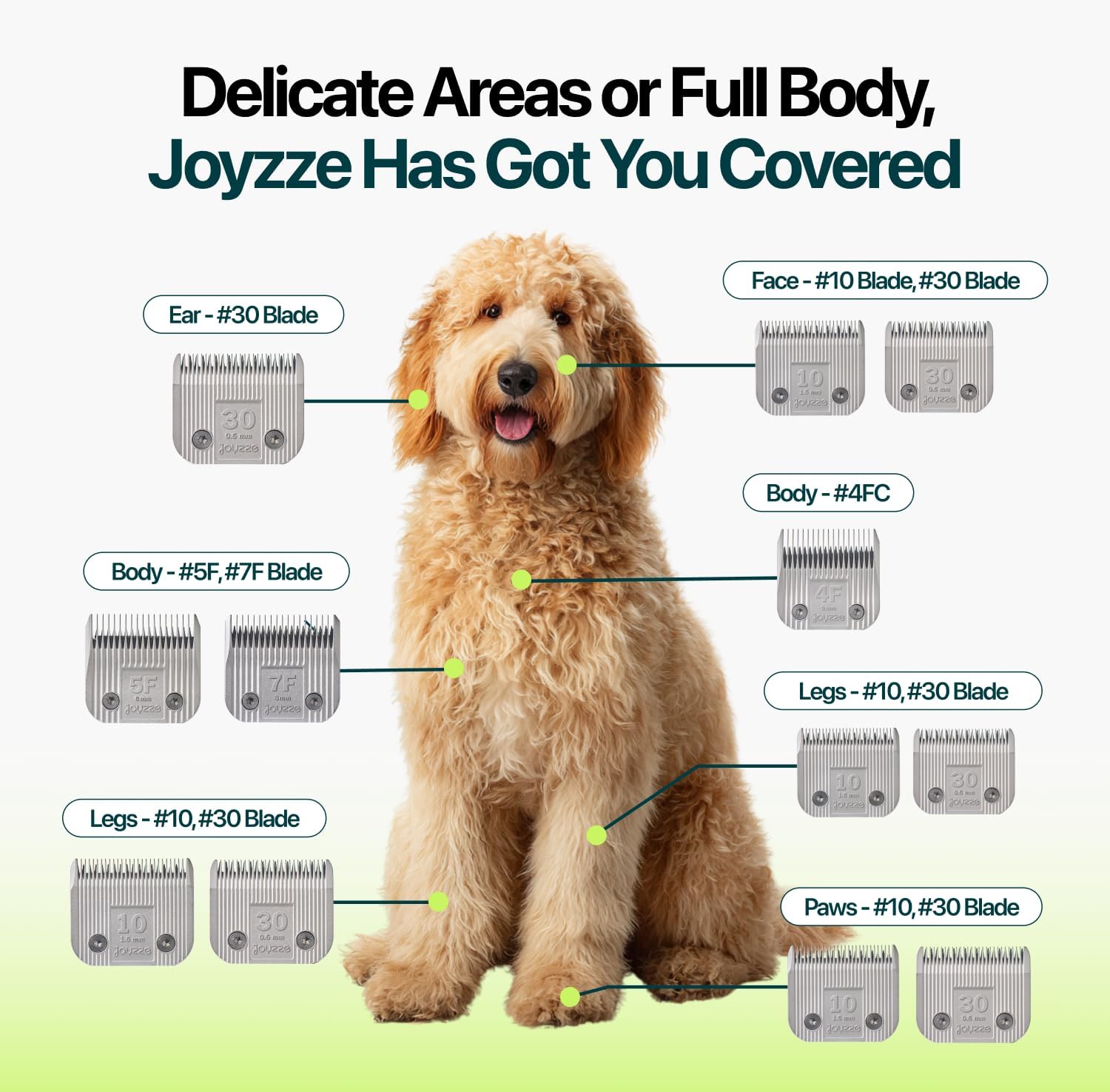 Raptor/Falcon Series A Blade - Professional Grade Dog Clipper Grooming Blade, Detachable, Replacement Blades - Stainless Steel, Coated Ceramic,(A Series 4F)