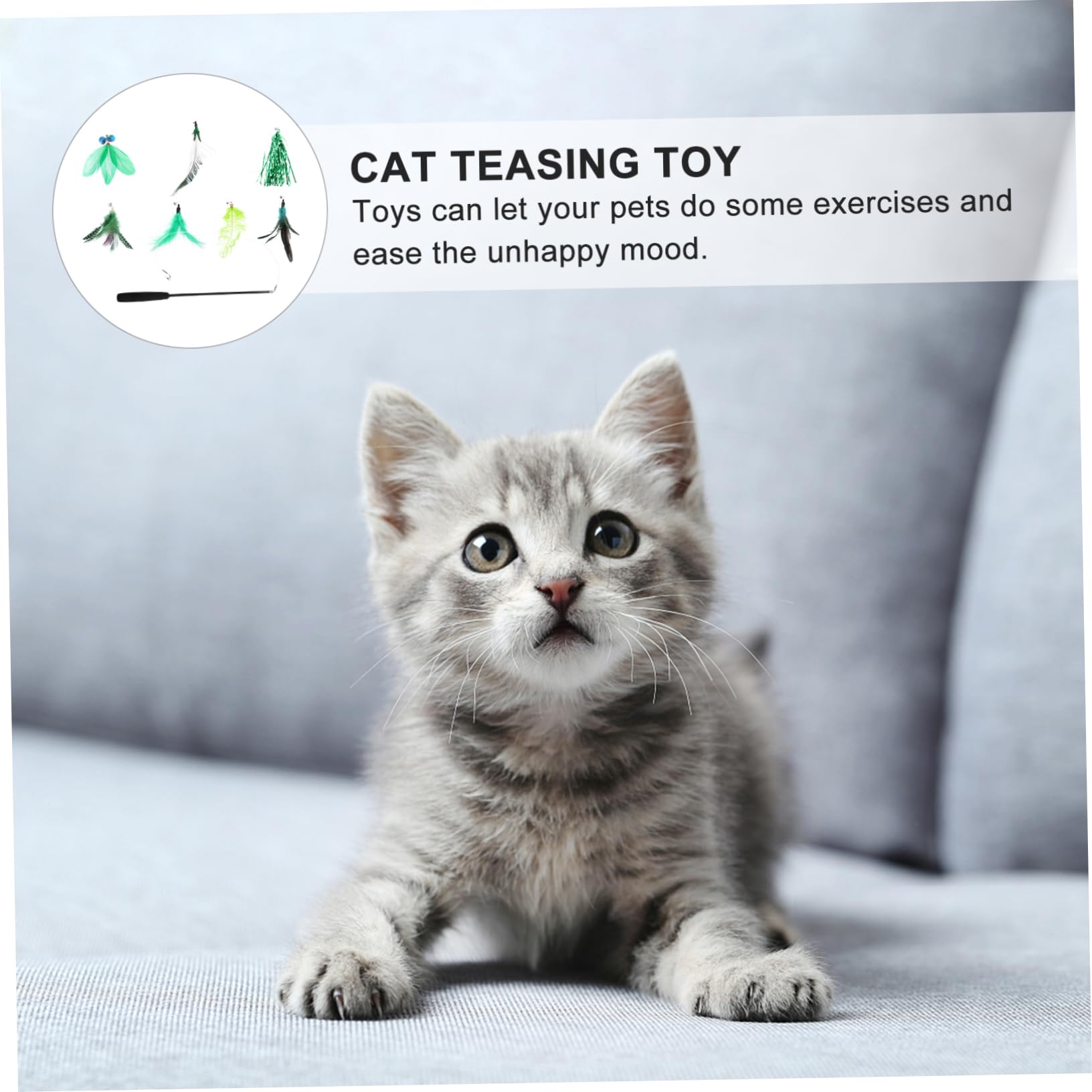 VANZACK 24pièces Kit De Jouets Interactifs pour Chat avec Plume Ensemble De Cannes pour Chat Améliore Interaction Et Exercice
