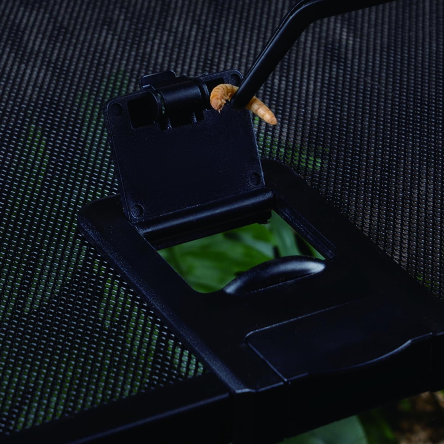 Reptile Terrarium Tank, Glass Reptile Vivarium, Sliding Mesh Cover, for Lizards, Horned Frogs, Snakes, Spiders, Turtle (L,10Gal (20"x12"x9.8"))