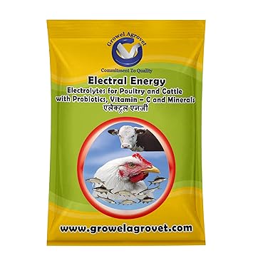 Growel Electrolyte with Minerals & Vitamins for Instant Energy- 500 Gm