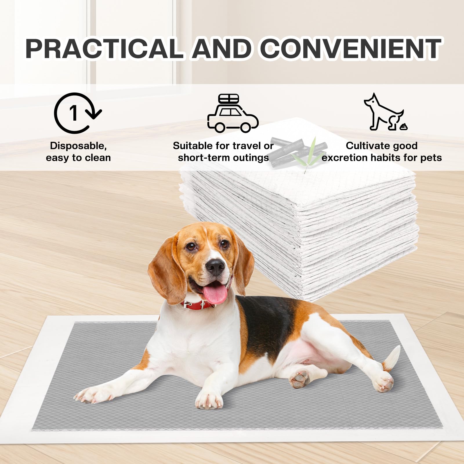 40 Pezzi Tappetini Igienici per Cani 60X60cm - Tappetini Monouso per Cane - Tappetini al Carbone con Controllo Degli Odori