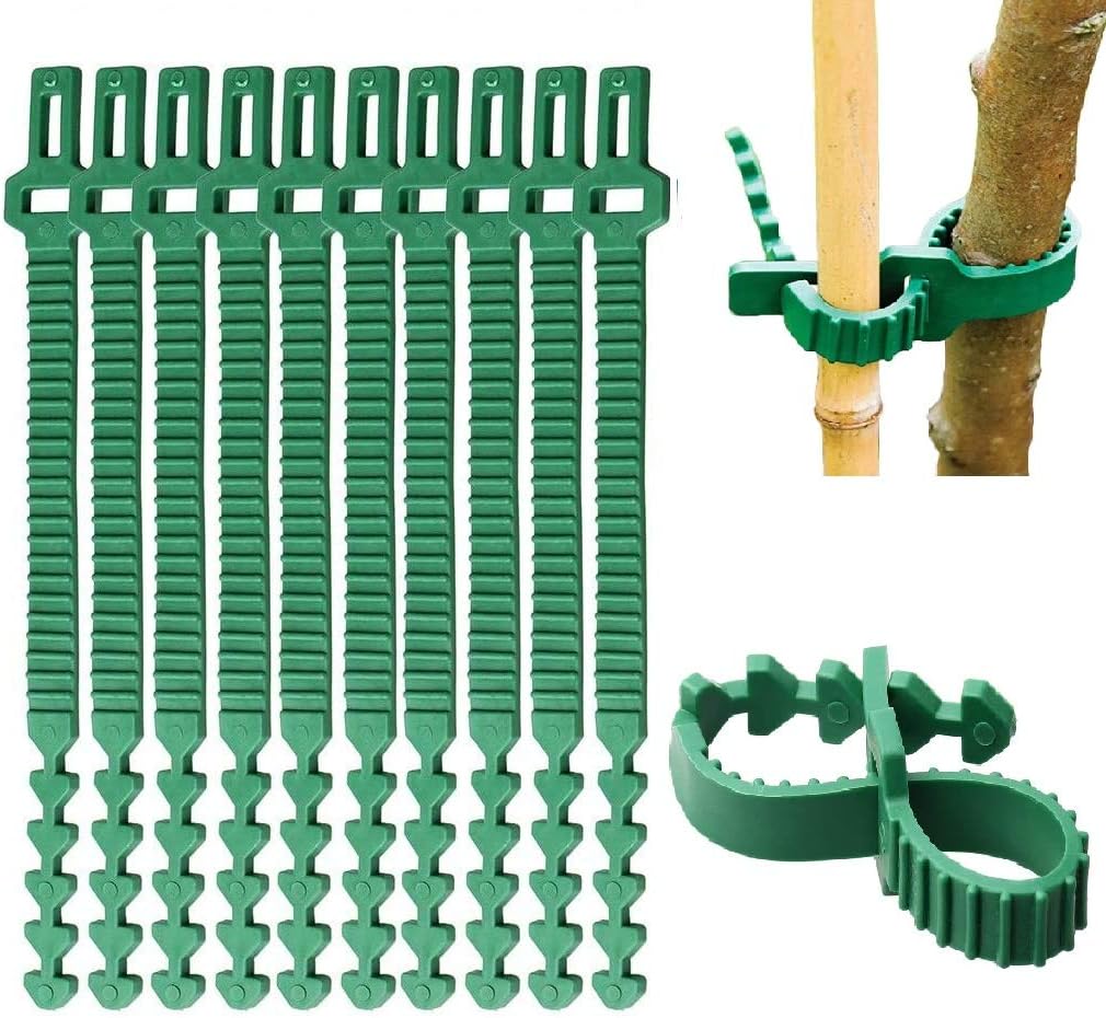MAIREULB 10Pcs Adjustable Plant Ties,Tree Ties Straps Supports Heavy Duty Shrub Ties for Shrub