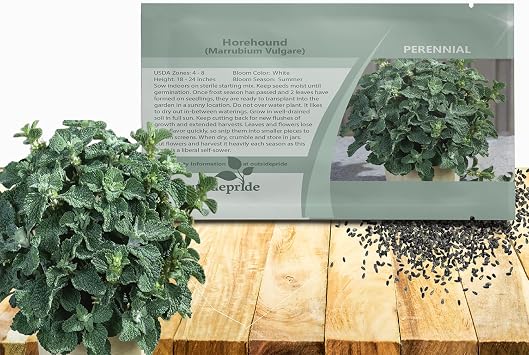 Outsidepride - Horehound Seeds - 10000 Pcs. Perennial, Compact, Easy to Grow & Pollinator Friendly, Herb Seeds for Planting Toothed, Wooly Gray-Green Foliage for Versatile & Culinary Uses