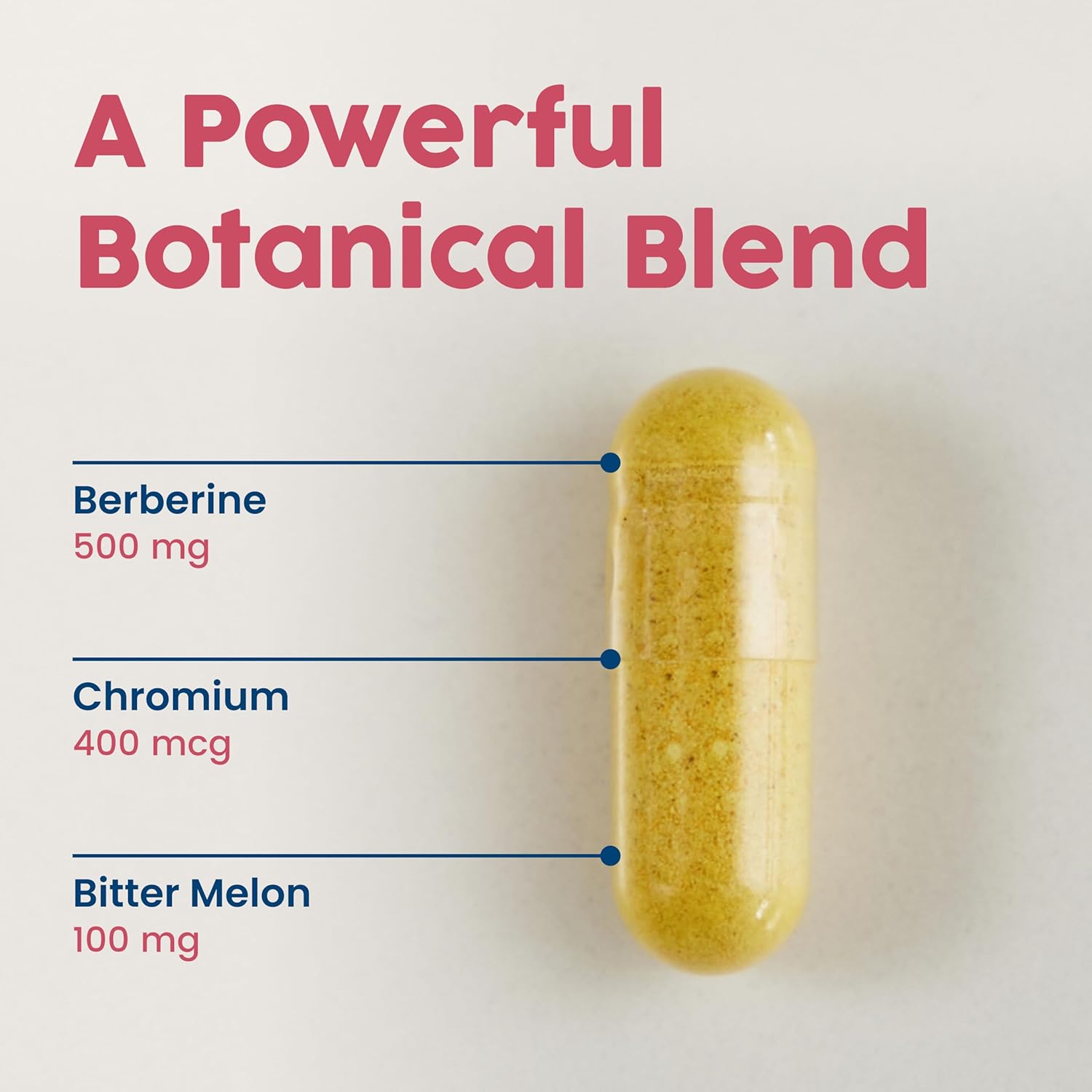 NativePath Native Berberine HCl 3-in-1 Complex with Chromium & Bitter Melon Extract - 500mg Premium Metabolic Support - 60 Capsules