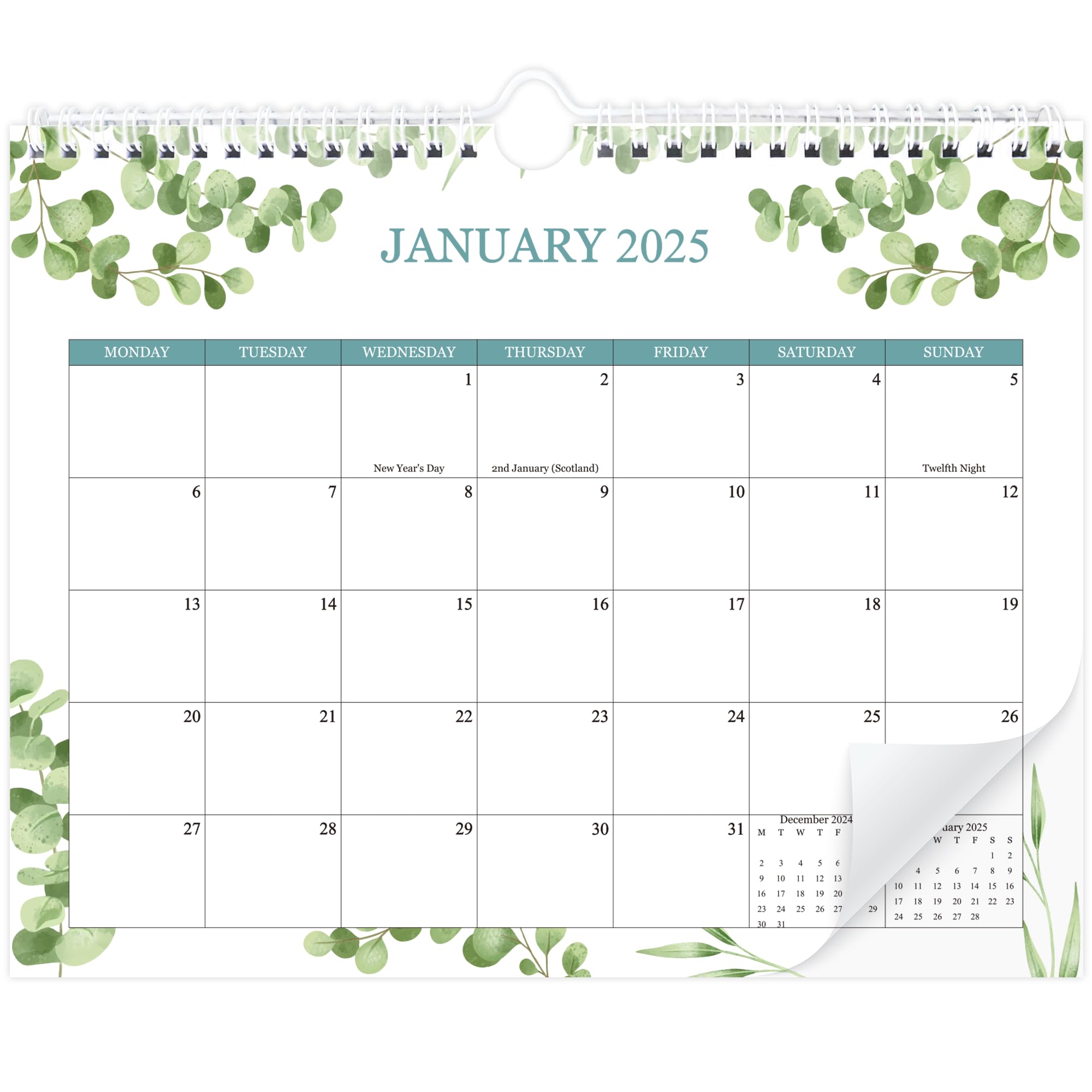 Calendar 2025-2026 -18 Month Wall Calendar from Jan 2025- June 2026 Monthly Calendar for Home Office Planning Orgnizing,Green Leaf