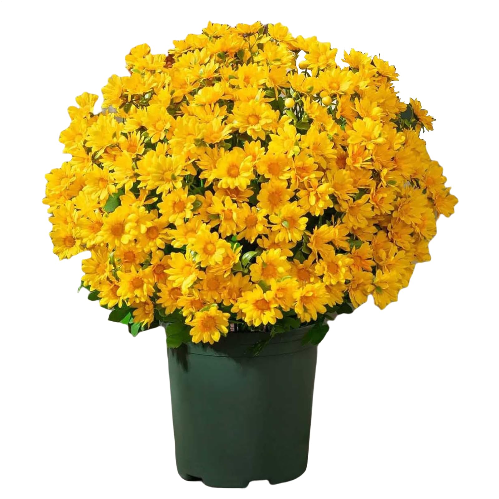 Fleurs réalistes chrysanthèmes artificiels pour balcon et appui de fenêtre
